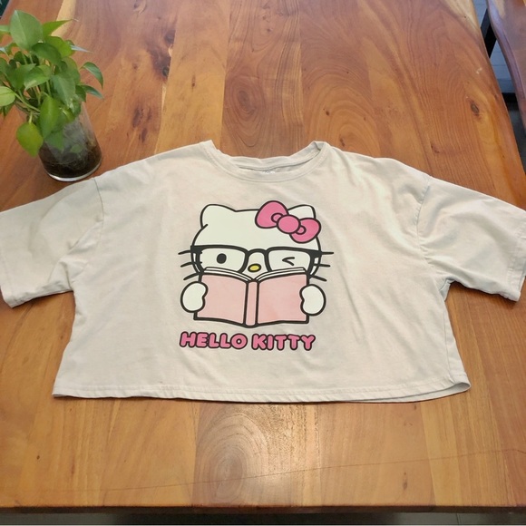 Hello Kitty Oversized Crop Top Graphic Gray T Shirt. - Picture 6 of 11